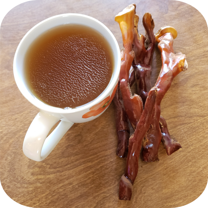 Reishi Immortali-TEA: How to make Reishi Tea